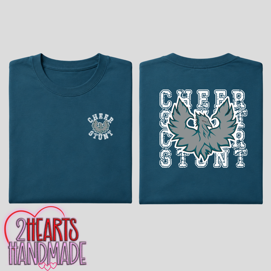 FHS - Phoenix Cheer & Stunt for Families