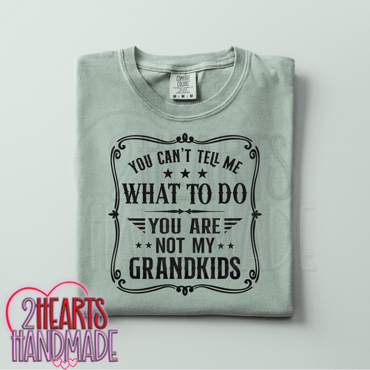 You Can't Tell Me What To Do, You Aren't My Grandkids