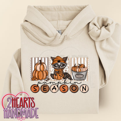 Pumpkin Season (Raccoon)