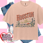 Houston, I Am the Problem