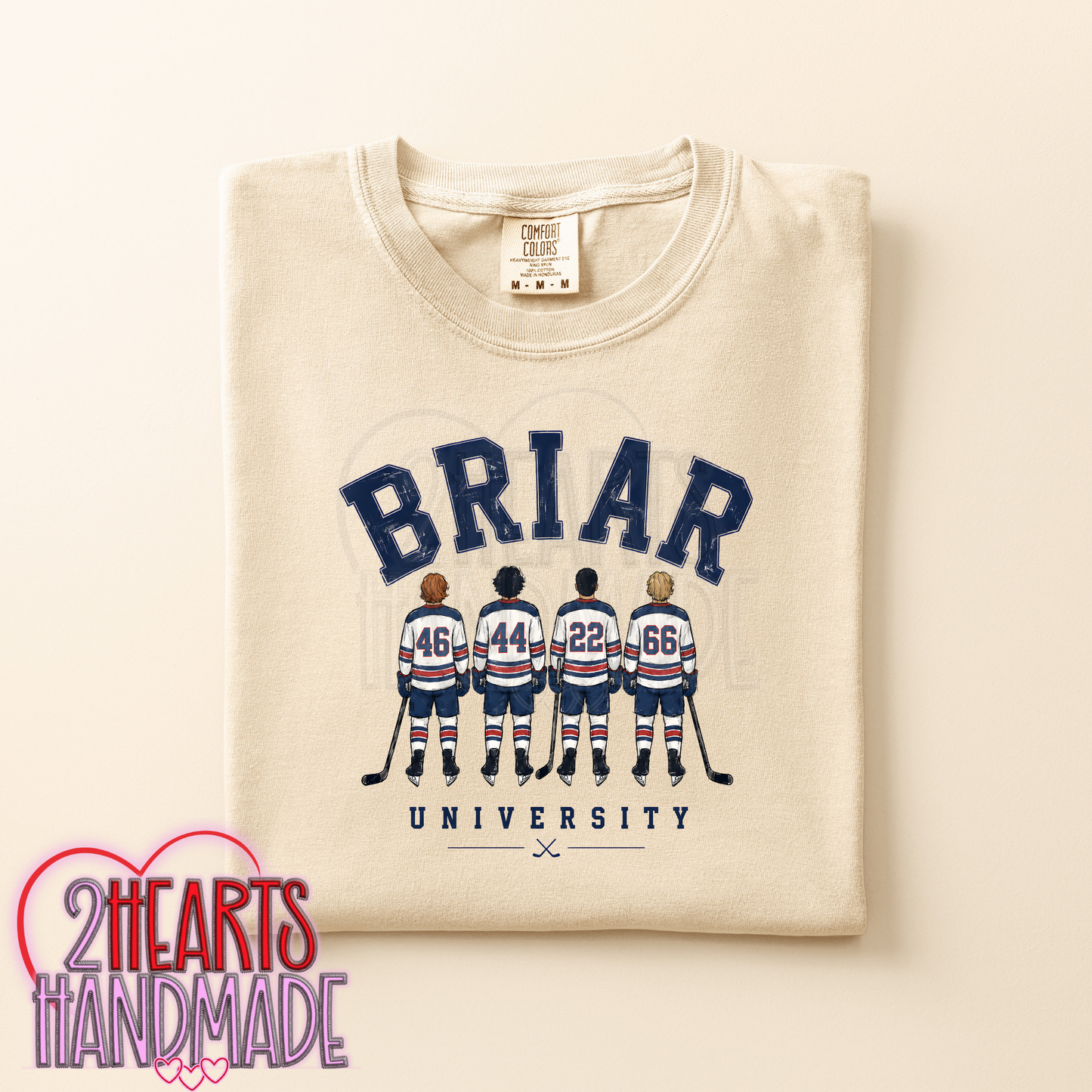 B RIAR UNIVERSITY