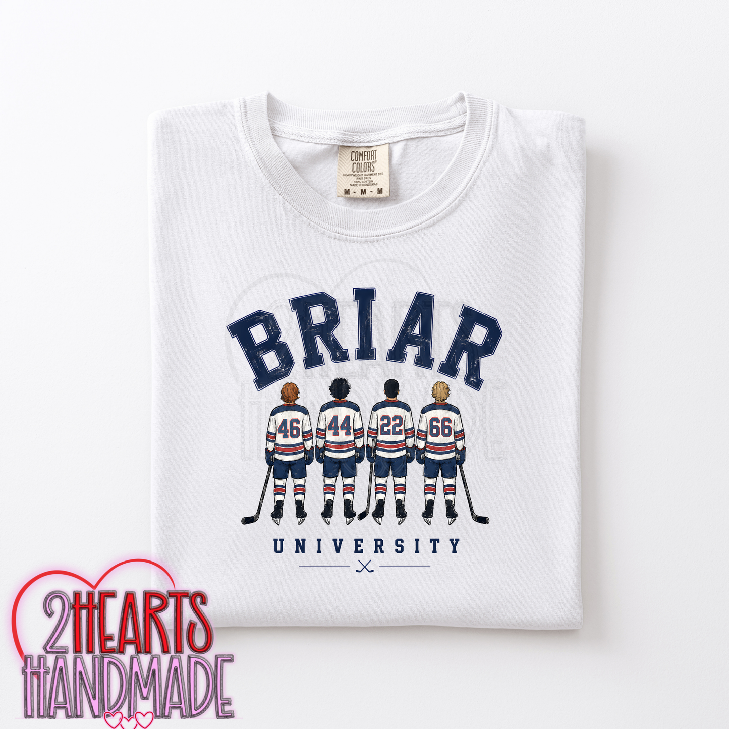 B RIAR UNIVERSITY