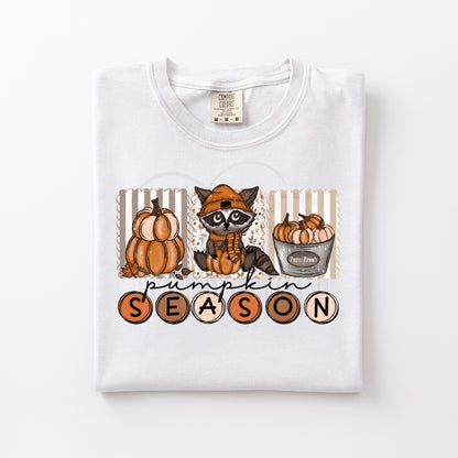 Pumpkin Season (Raccoon)
