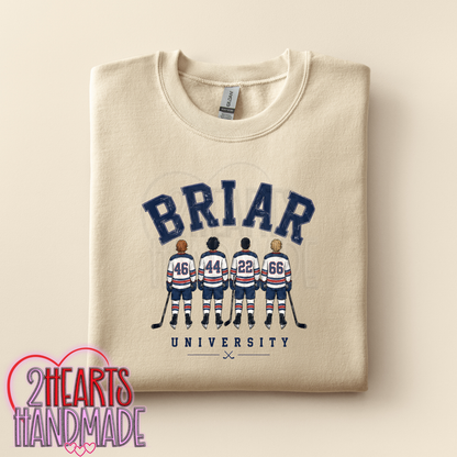 B RIAR UNIVERSITY
