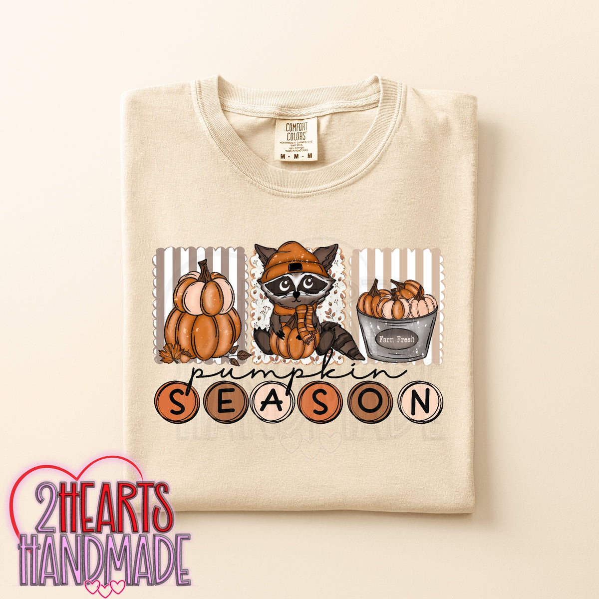 Pumpkin Season (Raccoon)
