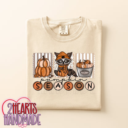 Pumpkin Season (Raccoon)