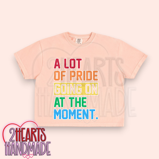 A Lot of Pride Going On At the Moment.