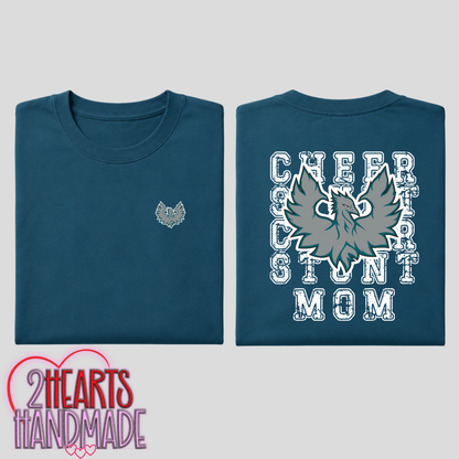 FHS - Phoenix Cheer & Stunt for Families