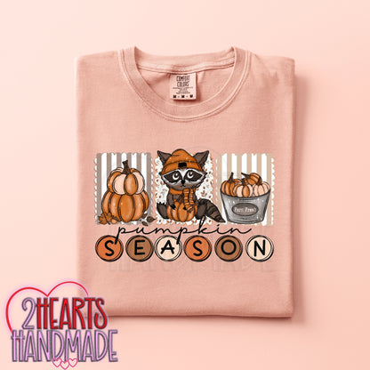 Pumpkin Season (Raccoon)