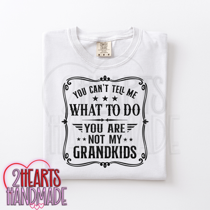 You Can't Tell Me What To Do, You Aren't My Grandkids