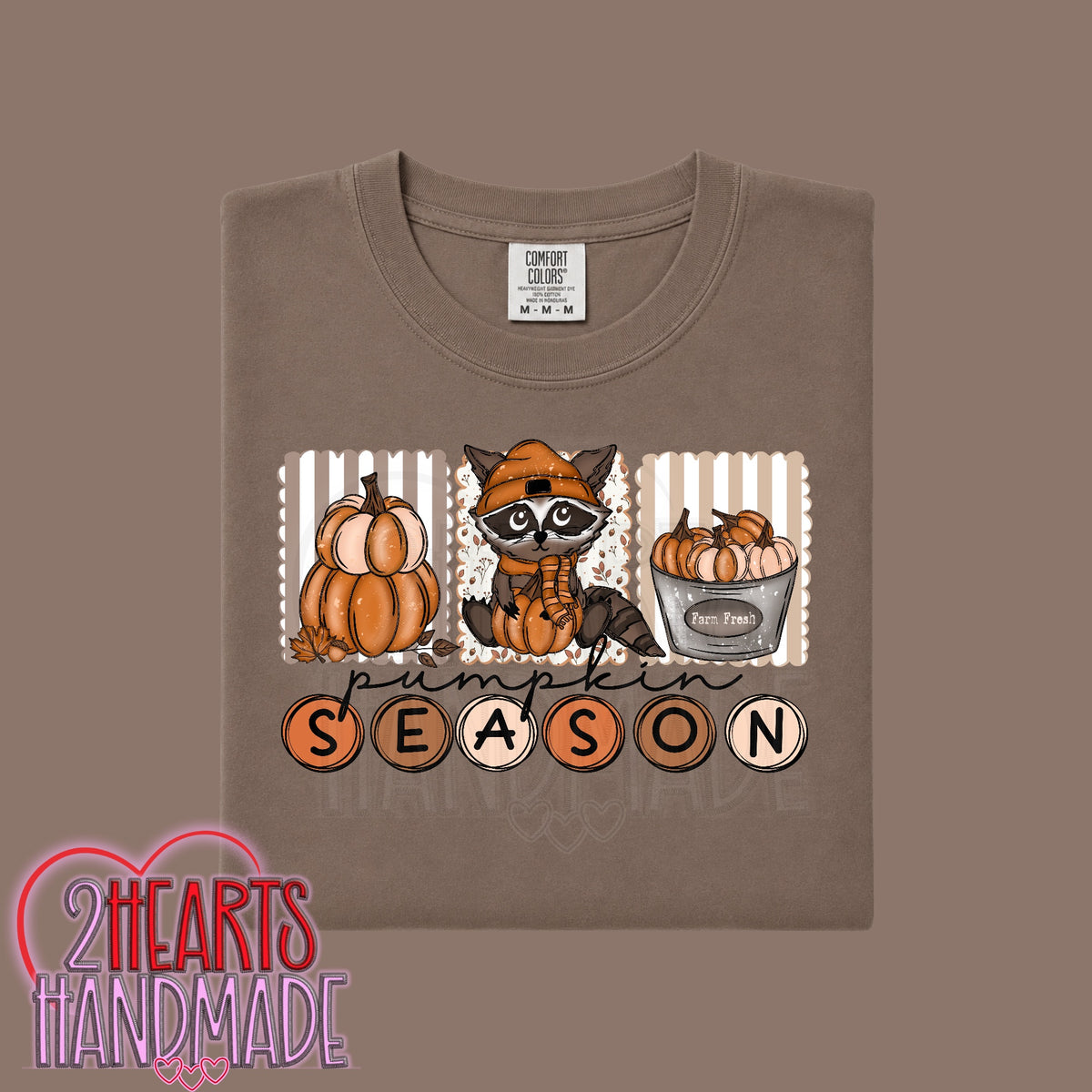 Pumpkin Season (Raccoon)