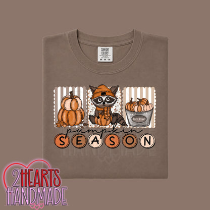 Pumpkin Season (Raccoon)
