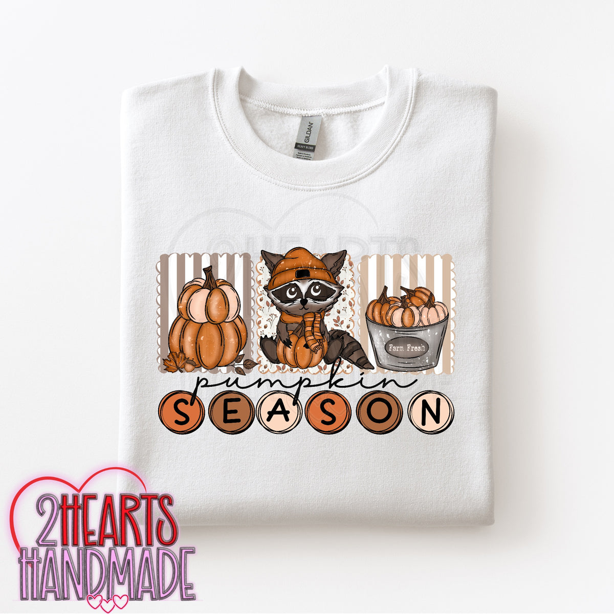 Pumpkin Season (Raccoon)