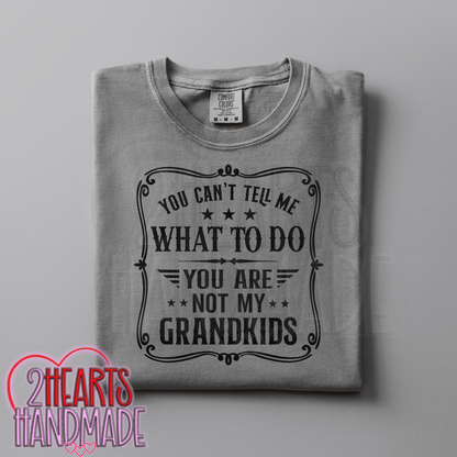 You Can't Tell Me What To Do, You Aren't My Grandkids