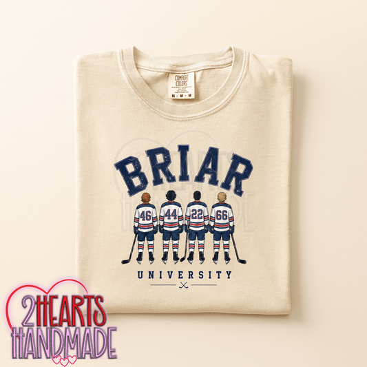 B RIAR UNIVERSITY