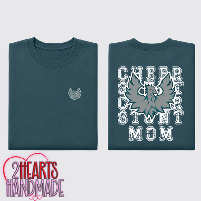 FHS - Phoenix Cheer & Stunt for Families