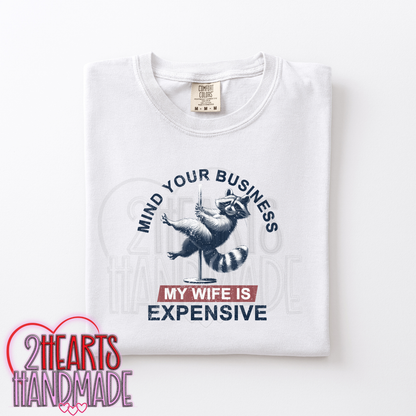 Mind Your Own Business, My Wife is Expensive