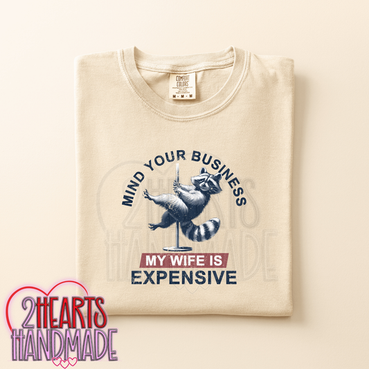 Mind Your Own Business, My Wife is Expensive